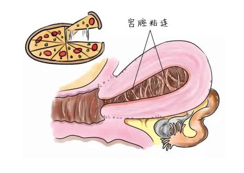 微信图片_20230621105718.png
