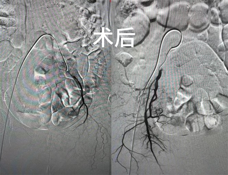 微信图片_20230706083037.jpg