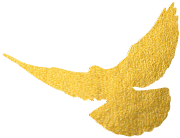 微信图片_20240102103131.png