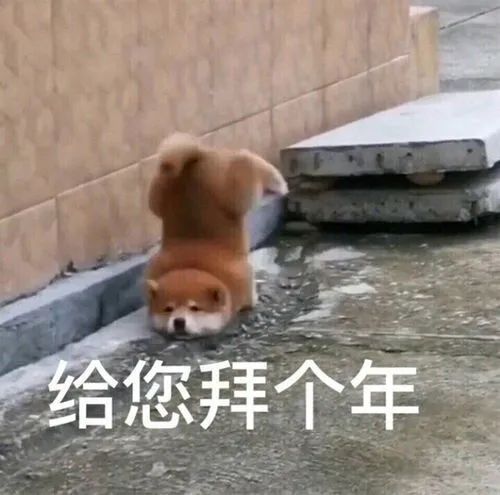 微信图片_20240220171145.jpg
